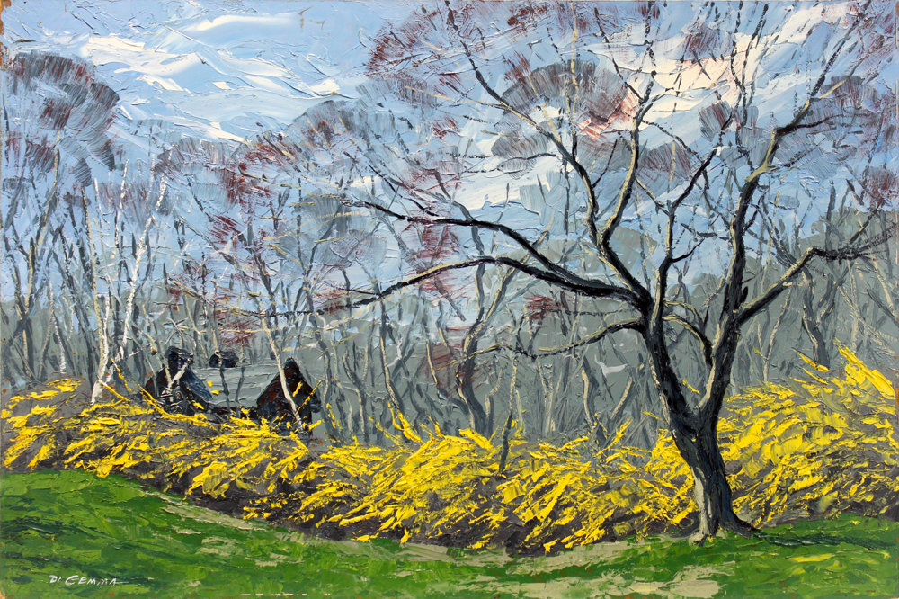 Forsythias