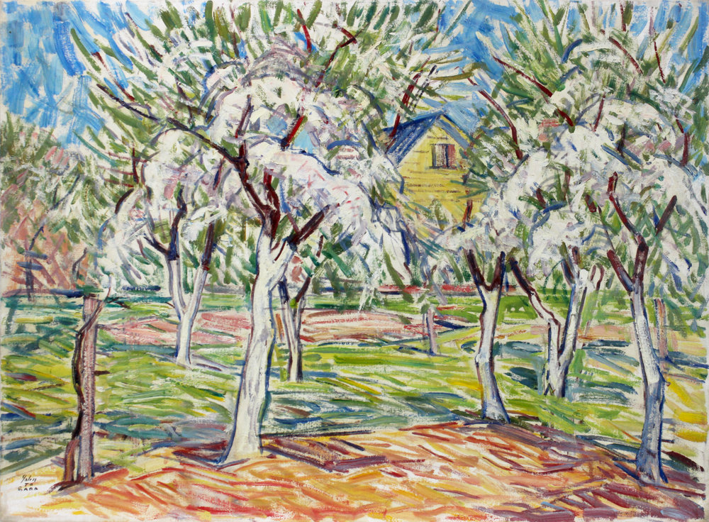 Yellow Barn and Apple Blossoms
